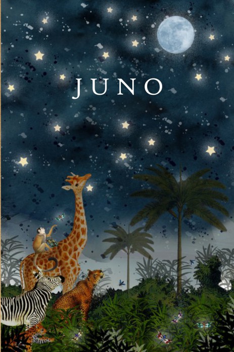 Geboortekaartje jungle in de nacht met maan en sterren
