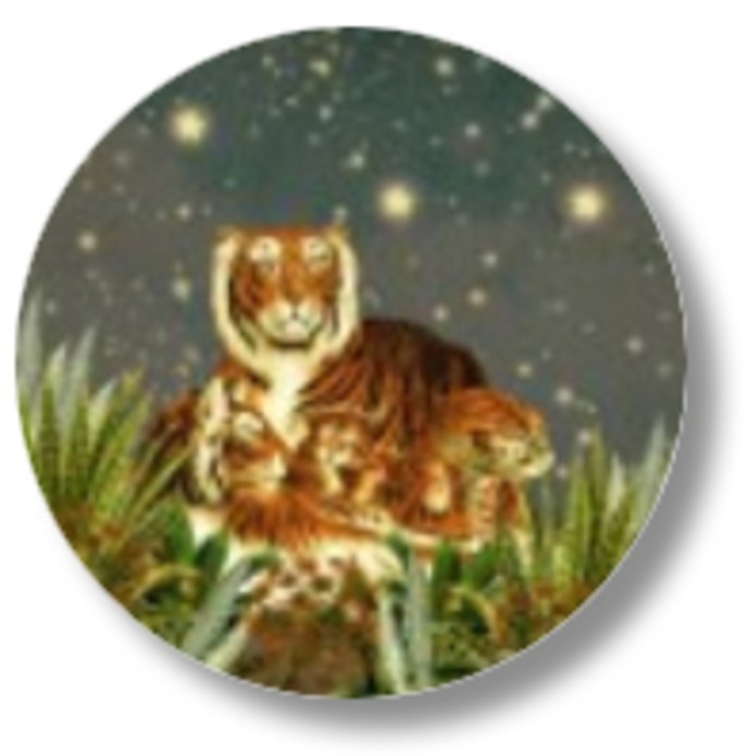 Sluitsticker jungle tijger familie