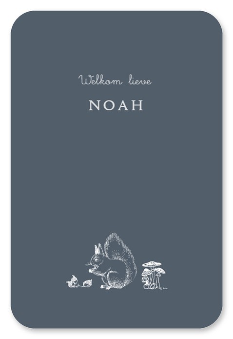 Geboortekaartje bosdieren lijntekening