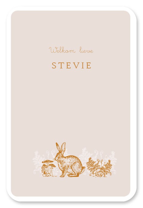 Geboortekaartje bosdieren lijntekening