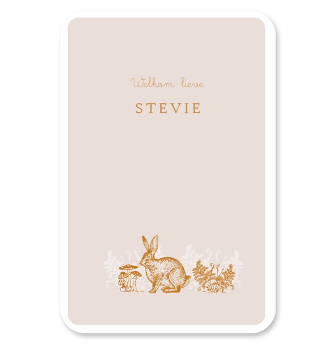 Geboortekaartje bosdieren lijntekening