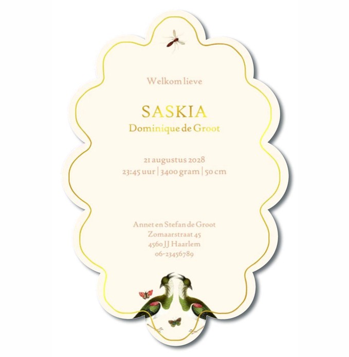 Geboortekaartje botanisch bohemian patroon met vlinders, bloemen en takken in speciale vorm. Een vorm die doet denken aan een barok schilderij met mooi bijpassend kadertje. Illustratief en classy geboortekaartje. Vraag eens een proefkaartje aan.