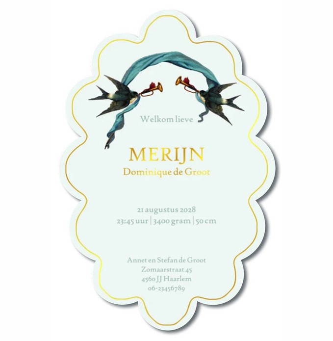 Geboortekaartje botanisch bohemian patroon met zwaluwen in speciale vorm. Een vorm die doet denken aan een barok schilderij met mooi bijpassend kadertje. Illustratief en classy geboortekaartje. Vraag eens een proefkaartje aan.