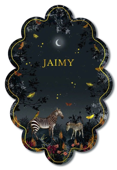 Geboortekaartje zebra in de nacht in speciale vorm