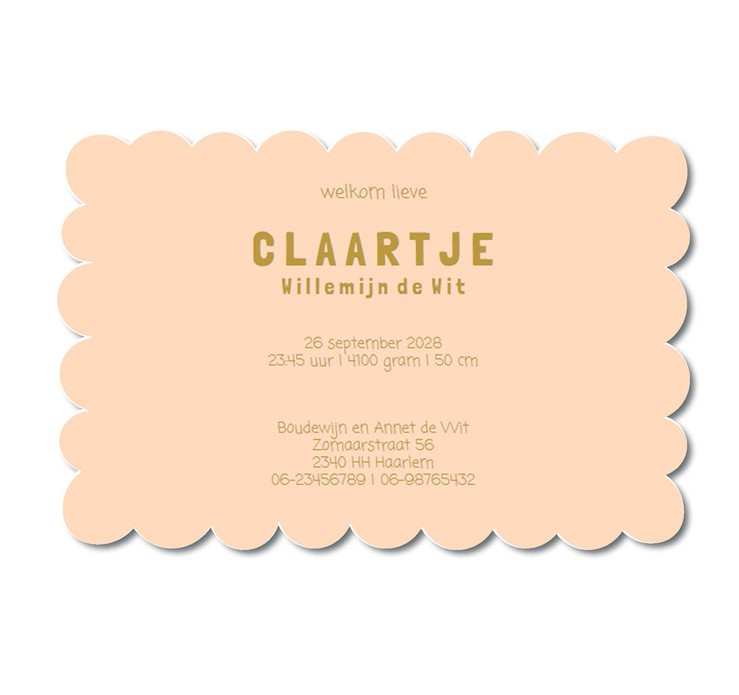 Geboortekaartje met kleurverloop met golvende rand. Een kaartje in biscuit vorm in prachtige kleuren. Je kunt ervoor kiezen om het geboortekaartje te voorzien van folie, maar dat hoeft niet. Vraag eens een proefkaart aan.