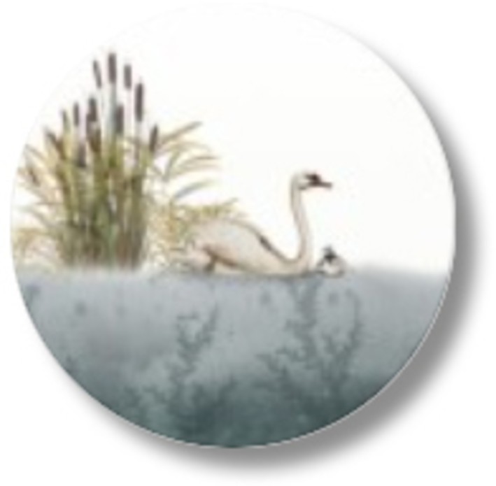 Sluitsticker zwaantjes