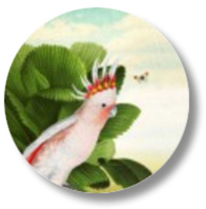 Sluitsticker jungle kakatoe