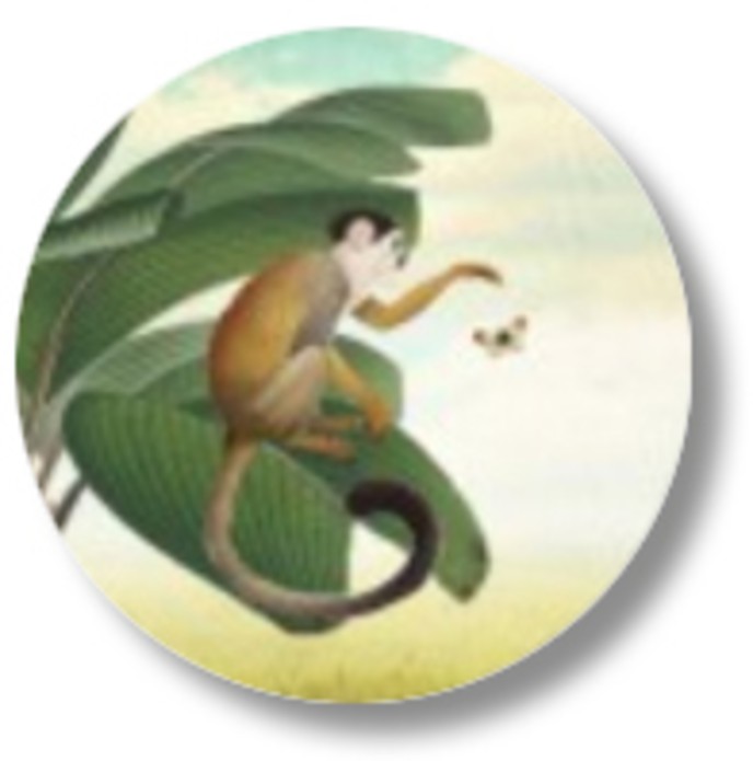 Sluitsticker jungle aap