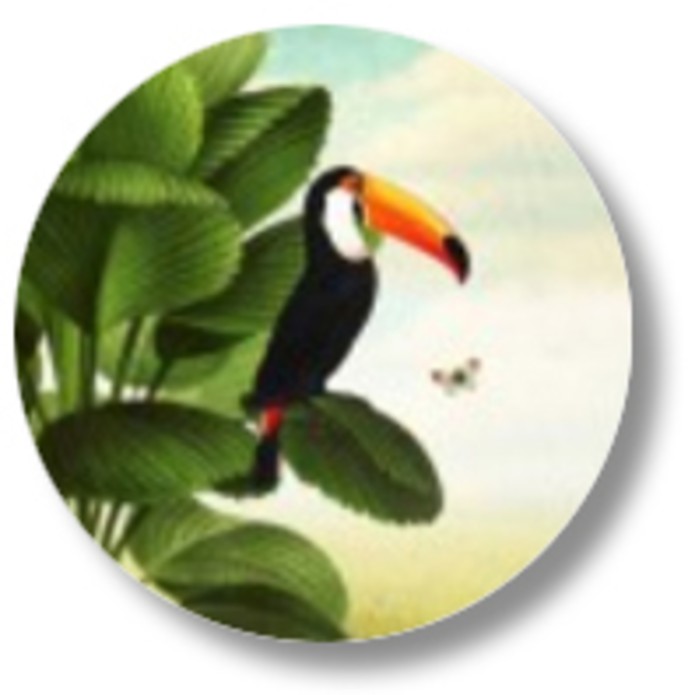 Sluitsticker jungle toekan