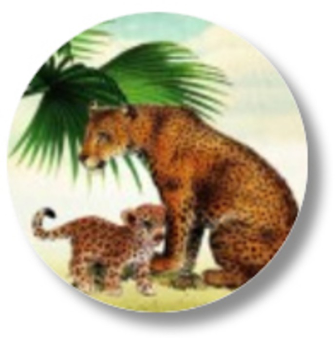 Sluitsticker jungle luipaard