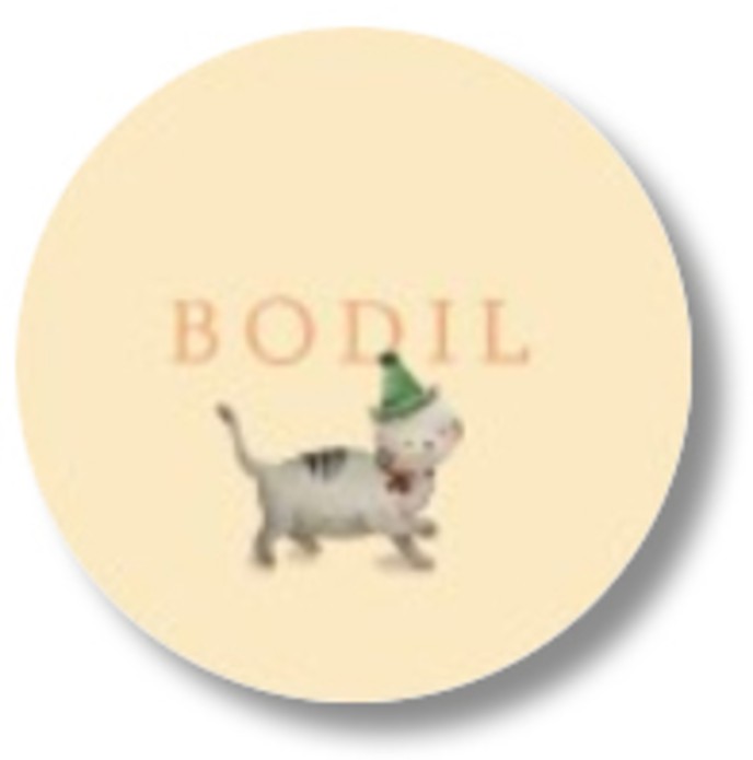 Sluitsticker handgeschilderd poesje