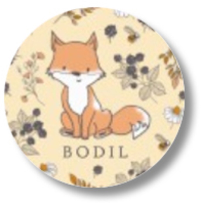 Sluitsticker vosje meisje