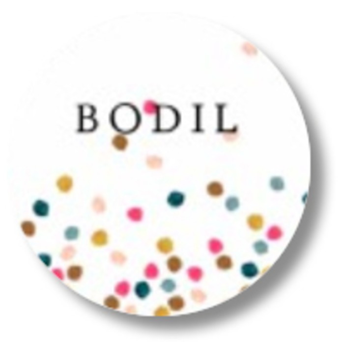 Sluitsticker verf stipjes