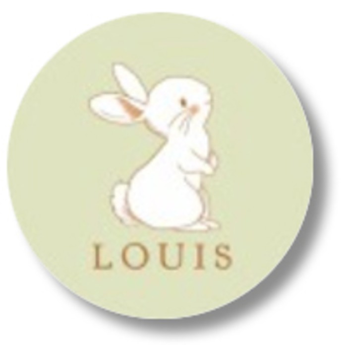 Sluitsticker konijntje groen