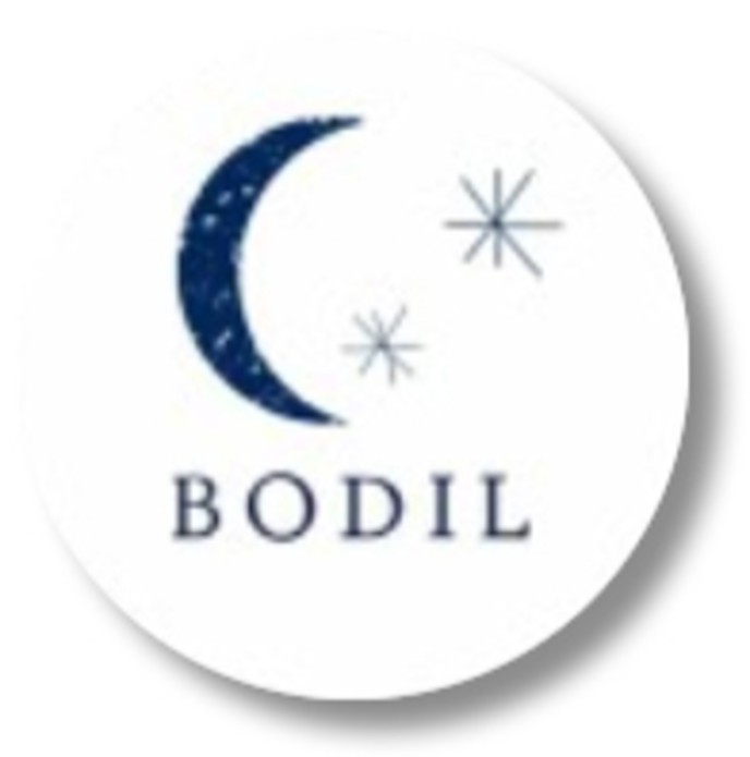 Sluitsticker maan en sterren