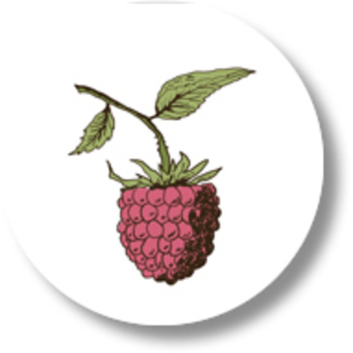 Sluitsticker framboos