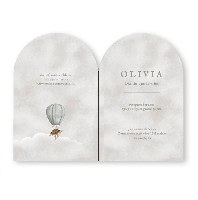 Een heel bijzonder geboortekaartje met illustratief kader. De walvis in een dromerige wereld met een lucht kasteel op zijn rug. Sterretjes die je in goudfolie kunt laten drukken. Een droom van een geboortekaartje voor als je op zoek bent naar een illustra