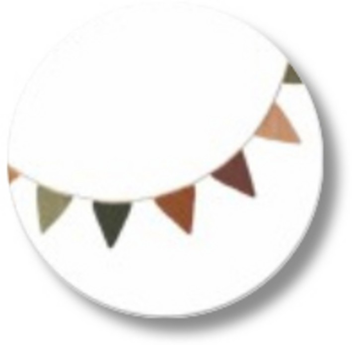 Sluitsticker vlaggenlijn