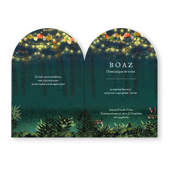 Een uniek illustratief geboortekaartje in bijzondere boog vorm. De decoratieve rand maakt het een speciaal en bijzonder geboortekaartje. Een dromerig tafereeltje met dieren rond het kampvuur. Kijk eens voor meer dromerige dieren geboortekaartjes bij Studi