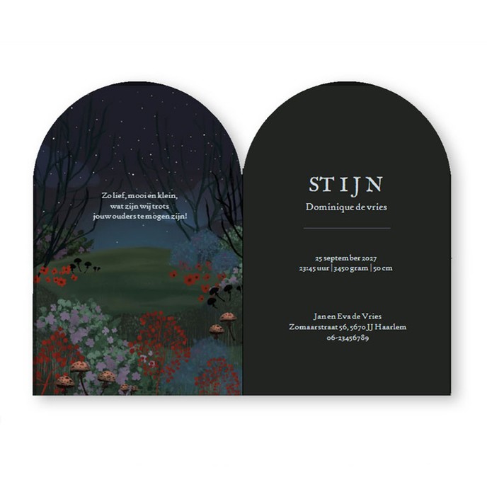 Een uniek illustratief geboortekaartje in bijzondere boog vorm. De decoratieve rand maakt het een speciaal en bijzonder geboortekaartje. Een dromerig tafereeltje met hertje in het bos. Kijk eens voor meer dromerige dieren geboortekaartjes bij Studio POPPY