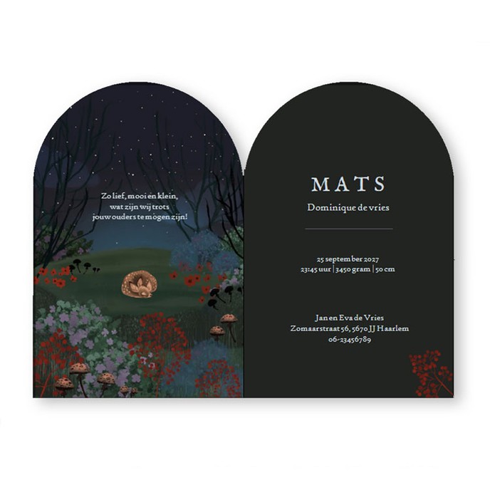 Een heel bijzonder geboortekaartje met illustratief kader. De vosjes in een dromerige bos wereld. Sterretjes die je in goudfolie kunt laten drukken. Een droom van een geboortekaartje voor als je op zoek bent naar een illustratief dromerig geboortekaartje.