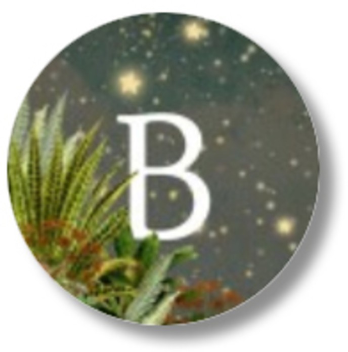 Sluitsticker jungle tijger