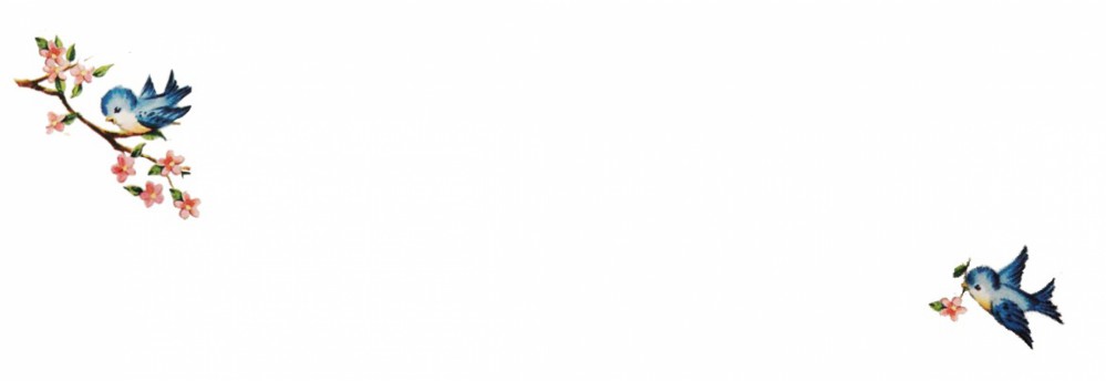 Adresetiket retro vogeltjes