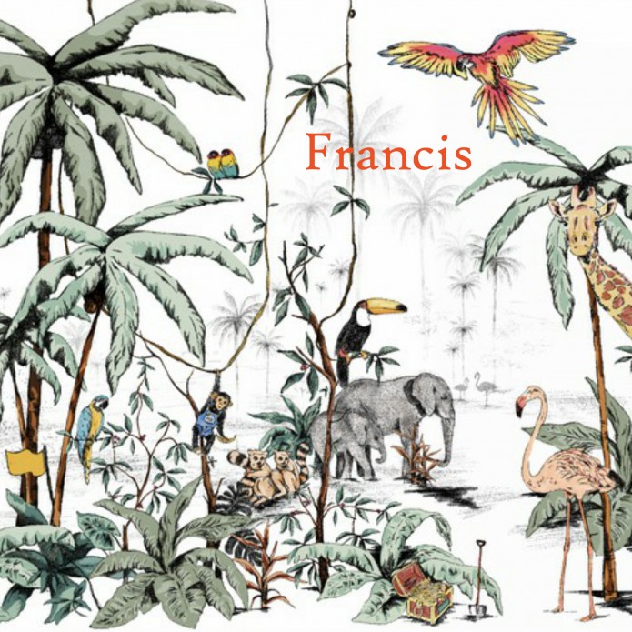 Geboortekaartje 'Jungle Tonal' van Annet Weelink Design