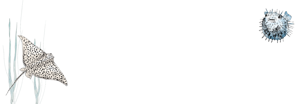 Adresetiket Annet Weelink