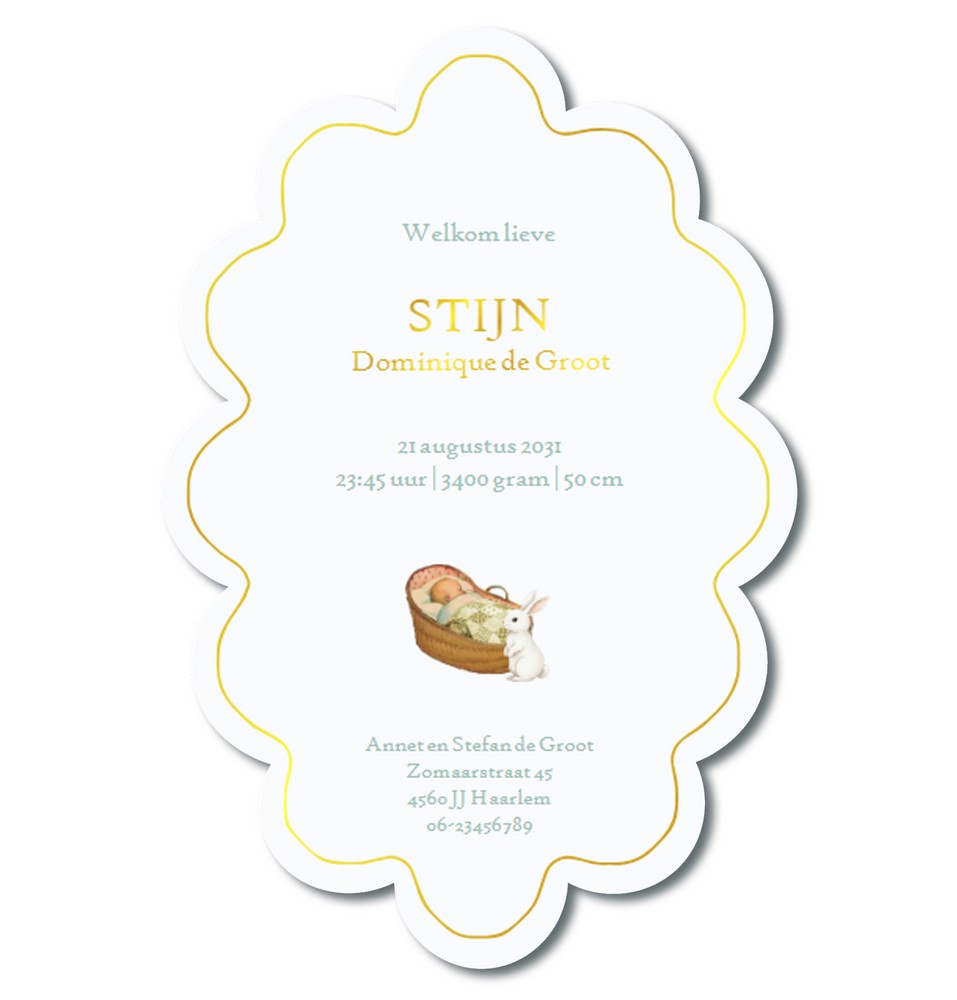 Winters geboortekaartje met dieren in de sneeuw rondom het wiegje. De bijzondere vorm van het geboortekaartje maakt het een echte eyecatcher. Het winter thema met ijsbeer, pinguïn en hertjes passen perfect bij het seizoen.