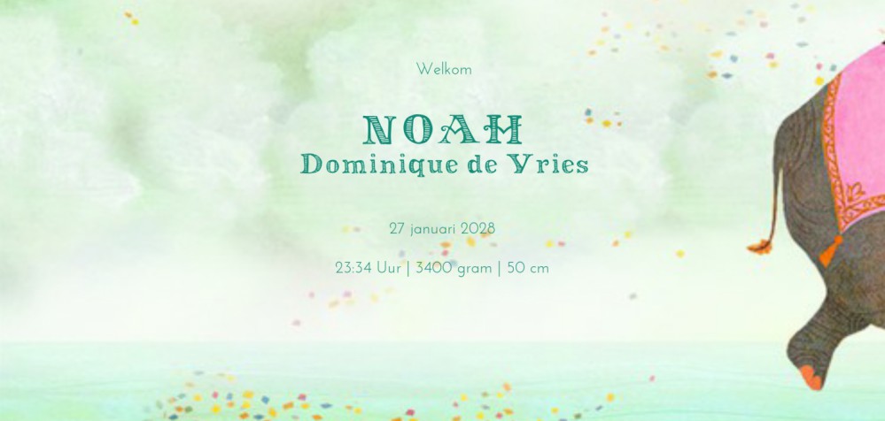 Geboortekaartje circus parade. Allerlei dieren zijn van de partij en zijn in de stemming. Een vrolijk geboortekaartje en leuk wanneer je van illustratieve geboortekaartjes houdt. In verschillende formaten verkrijgbaar, vraag eens een gratis proefdruk aan.