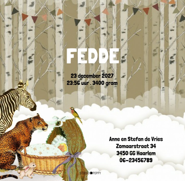 Geboortekaartje retro winter Fiat is een heel vrolijk illustratief geboortekaartje! Tijdloos en grappig om het de geboorte van jullie kindje mee aan te kondigen. Maak gebruik van de handige designtool om jouw eigen teksten te plaatsen. Ben je tevreden? Be