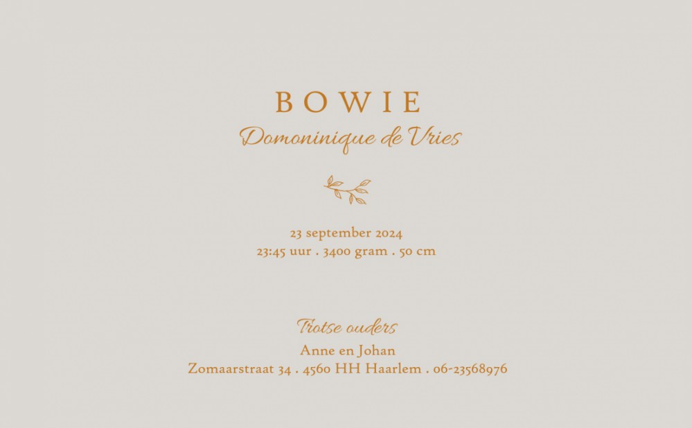 Klassiek geboortekaartje met foto. De typografie met 'Welkom' maakt het een ècht design kaartje! Kleine botanische takjes erbij en jouw klassieke foto geboortekaartje met een twist is een feit. Prachtige papiersoorten en enveloppen beschikbaar. Vraag eens