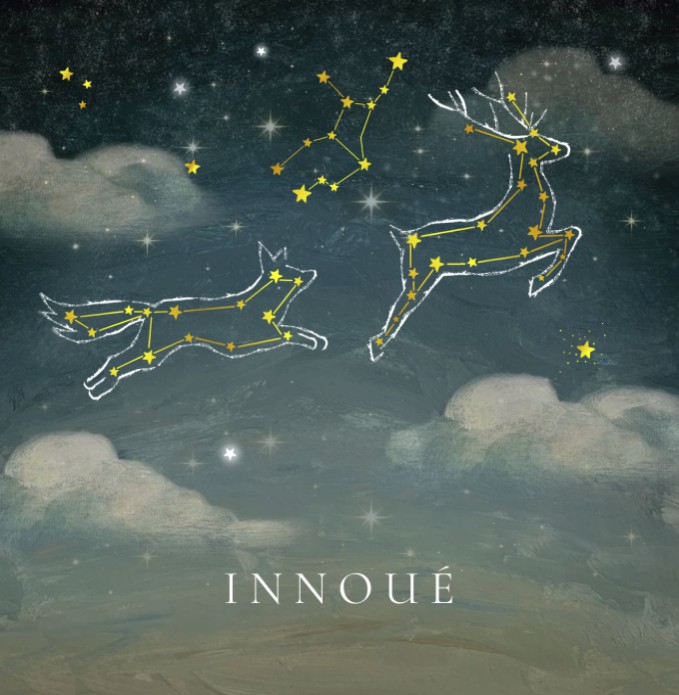 Dromerig geboortekaartje van de sterrenhemel. Als je goed kijkt zie je de sterrenbeelden erin terug, een geboortekaartje met het sterrenbeeld van jullie kindje. Vraag eens de gratis proefkaart aan.