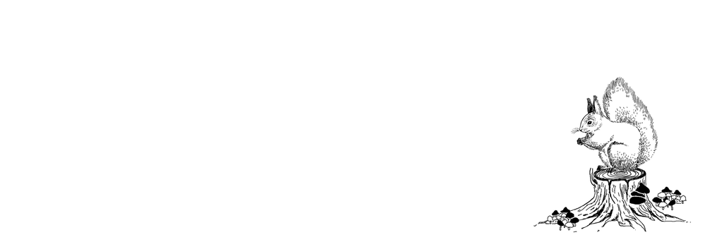 Adresetiket Eekhoorntje