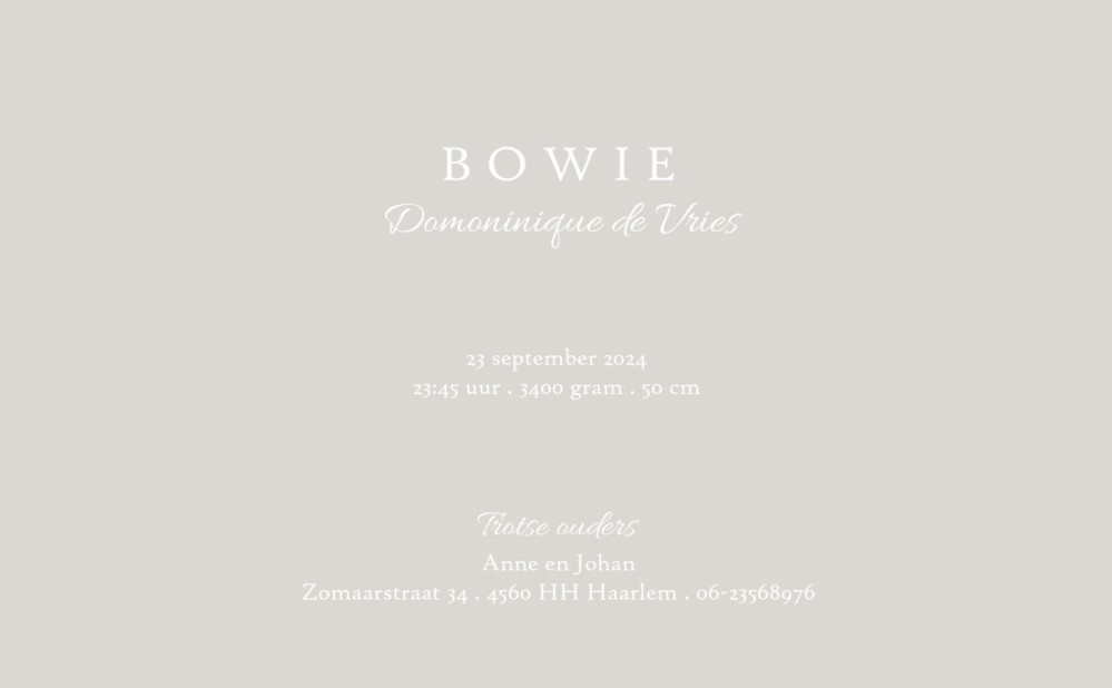 Klassiek geboortekaartje met foto. De typografie met 'Welkom' maakt het een ècht design kaartje! Kleine botanische takjes erbij en jouw klassieke foto geboortekaartje met een twist is een feit. Prachtige papiersoorten en enveloppen beschikbaar. Vraag eens