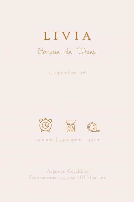 Geboortekaartje bohemian met babykleertjes, babykamer spulletjes in boho stijl in warme pastel tinten. Een lief geboortekaartje waar je met behulp van de beeldbank jouw eigen draai aan kan geven. Een bedje en een kapstokje of alleen het wandrekje met baby