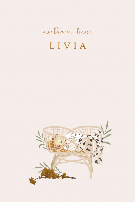 Geboortekaartje baby ingebakerd