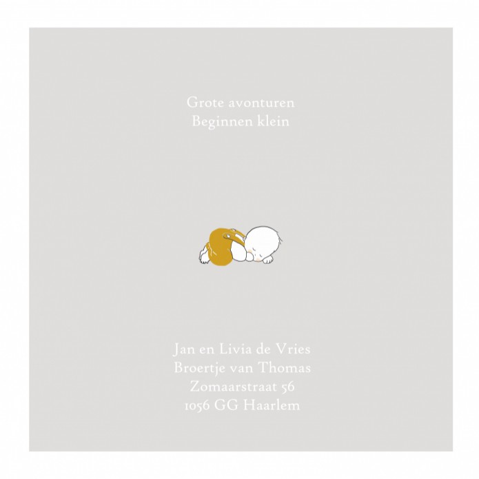 kaart binnenzijde links