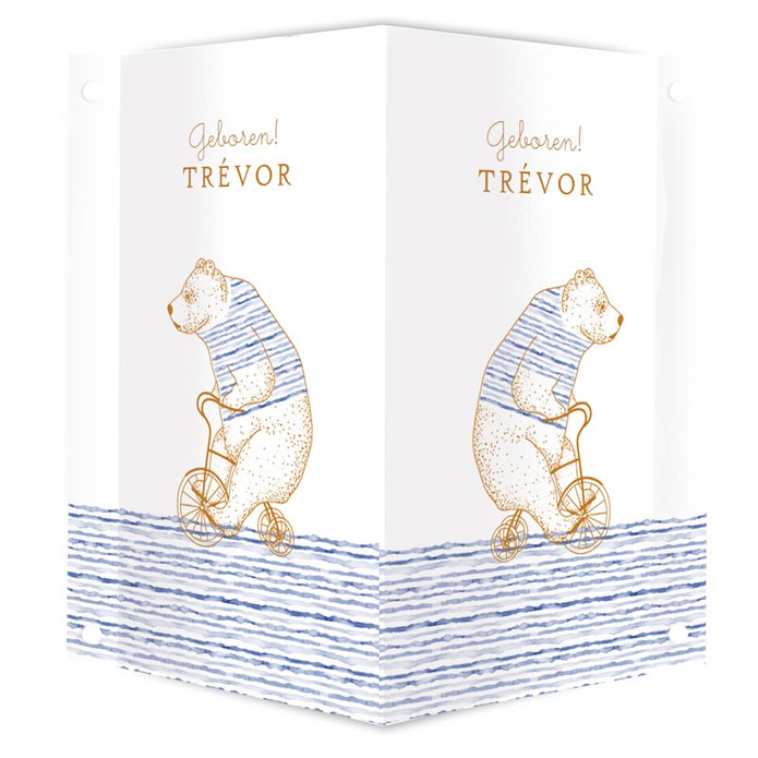 Geboortebord beer met bretons truitje