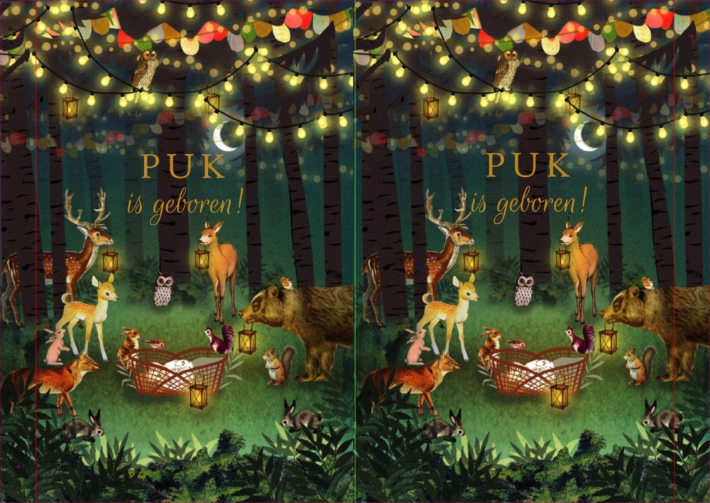 Geboortebord dieren bij het wiegje in het bos