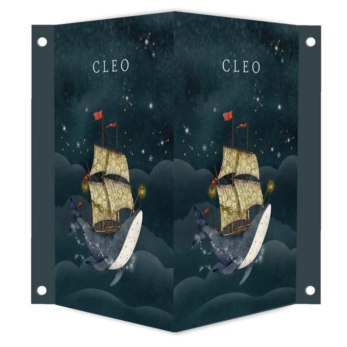 Geboortebord walvis in de nacht