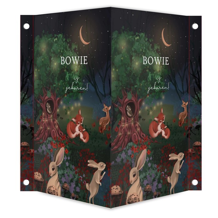 Geboortebord bos met vosjes