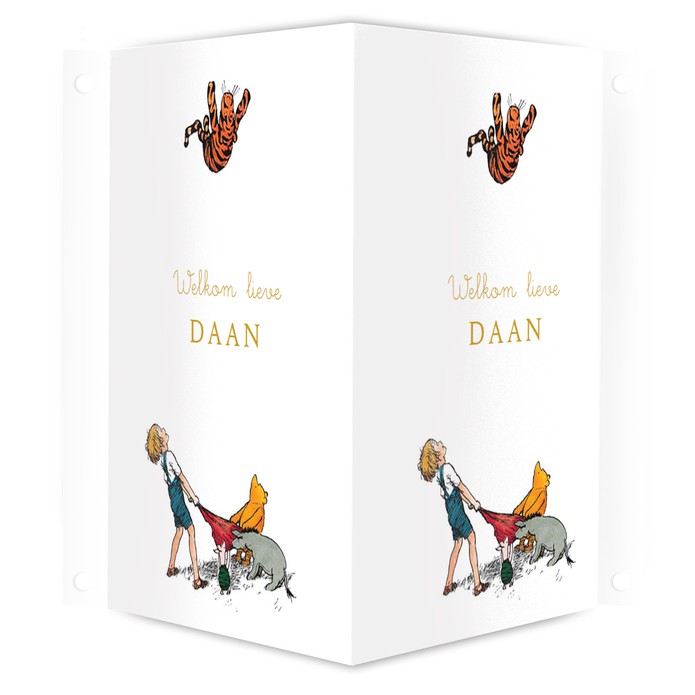 Geboortebord Winnie the Pooh en Teigetje