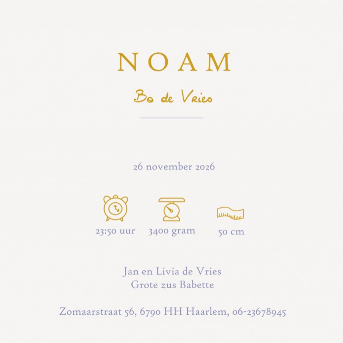 Geboortekaartje gekleurde bollen met folie. De cirkels zijn zelf in kleur te variëren zodat jij jouw geboortekaartje precies kunt maken zoals jij dat wil. Beetje modern maar door de kleurkeuze ook heel lief en hip.