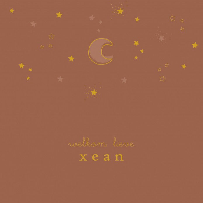 Geboortekaartje met maantje en sterretjes in foliedruk