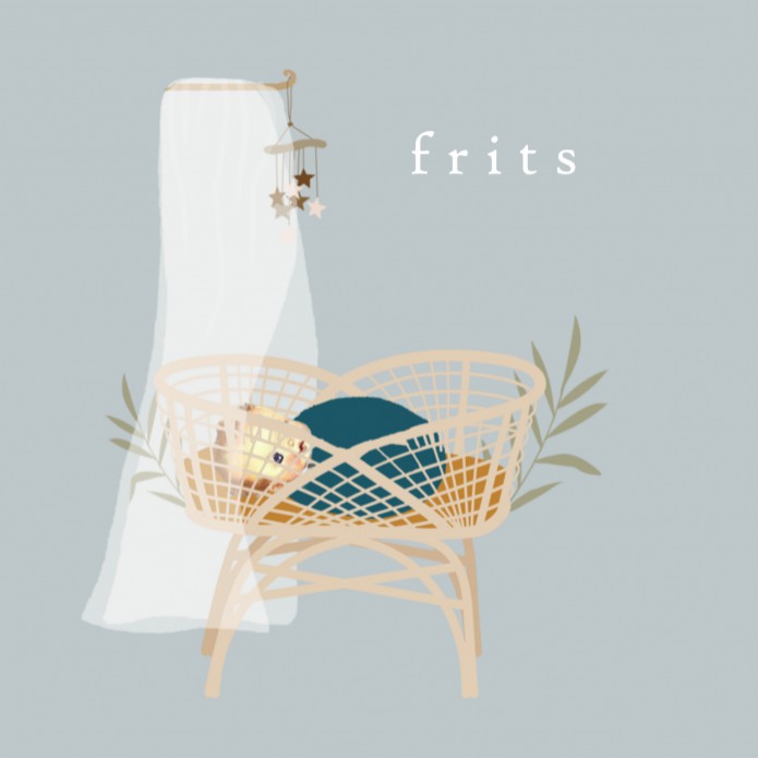 Geboortekaartje jongen baby wiegje