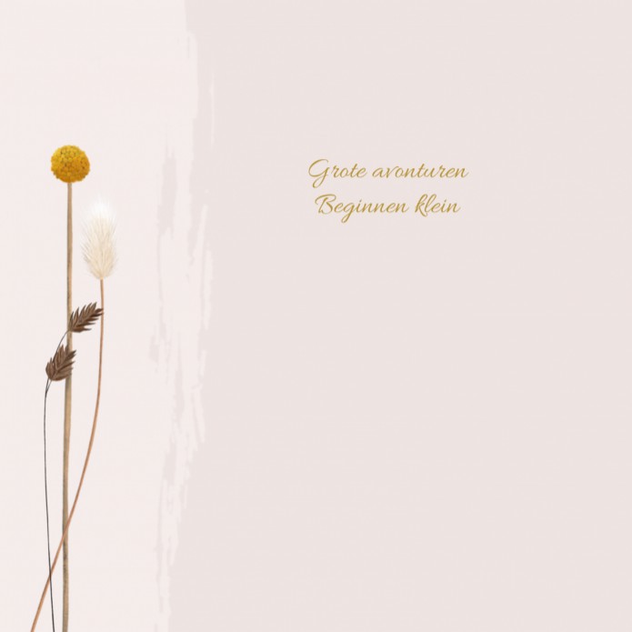 kaart binnenzijde links