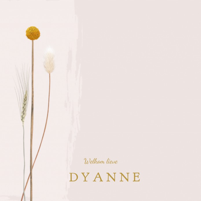 Geboortekaartje aardetinten droogbloem