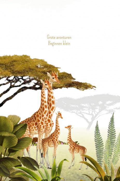 kaart binnenzijde links